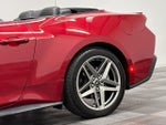 2024 Mustang Thumbnail 6
