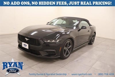 2024 Ford Mustang Ecoboost Premium 2DR Convertible
