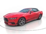 2024 Mustang Thumbnail 2