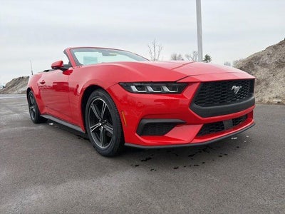 Photo of a 2024 Ford Mustang Ecoboost 2DR Convertible for sale