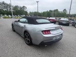 2024 Mustang Thumbnail 5
