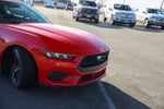 2024 Mustang Thumbnail 7
