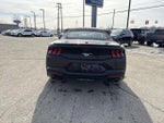 2024 Mustang Thumbnail 6