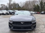 2024 Mustang Thumbnail 20