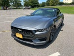 2024 Mustang Thumbnail 4