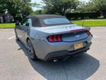 2024 Mustang Thumbnail 8