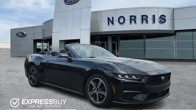 Preowned 2025 Ford Mustang EcoBoost for Sale