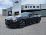 2025 Mustang Thumbnail 2