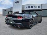 2025 Mustang Thumbnail 4