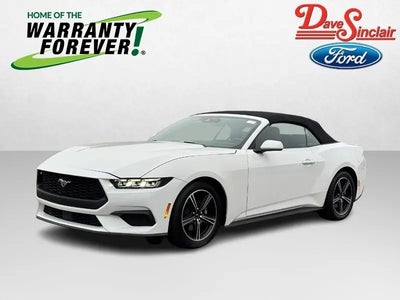 2025 Ford Mustang Ecoboost Premium 2DR Convertible