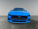 2025 Mustang Thumbnail 1