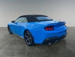 2025 Mustang Thumbnail 6