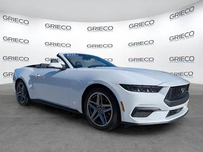 Photo of a 2026 Ford Mustang Ecoboost Premium 2DR Convertible for sale