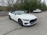 2024 Mustang Thumbnail 4