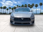 2024 Mustang Thumbnail 2