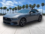 2024 Mustang Thumbnail 3