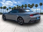 2024 Mustang Thumbnail 5