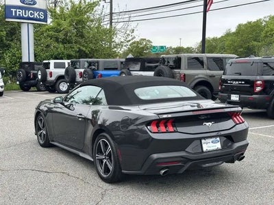 2024 Ford Mustang Ecoboost Premium 2DR Convertible
