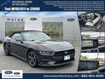 2024 Mustang Thumbnail 23