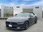 2024 Mustang Thumbnail 24