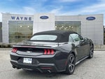 2024 Mustang Thumbnail 26