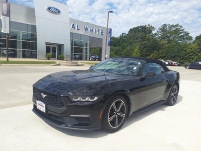 Photo of a 2024 Ford Mustang Ecoboost Premium 2DR Convertible for sale