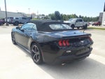 2024 Mustang Thumbnail 3