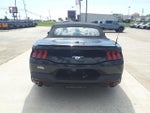 2024 Mustang Thumbnail 4