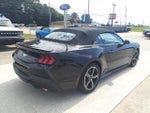 2024 Mustang Thumbnail 5