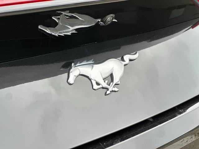2025 Ford Mustang - $28,900