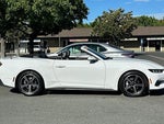 2025 Mustang Thumbnail 6