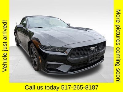 Photo of a 2025 Ford Mustang Ecoboost 2DR Convertible for sale