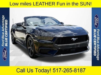 2025 Ford Mustang Ecoboost 2DR Convertible