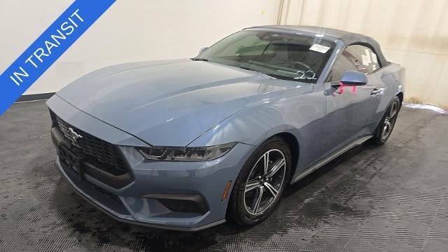 Preowned 2025 Ford Mustang EcoBoost for Sale
