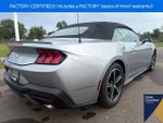 2025 Mustang Thumbnail 11
