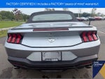 2025 Mustang Thumbnail 14