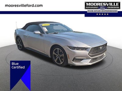 Photo of a 2025 Ford Mustang Ecoboost 2DR Convertible for sale