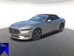 2025 Mustang Thumbnail 7