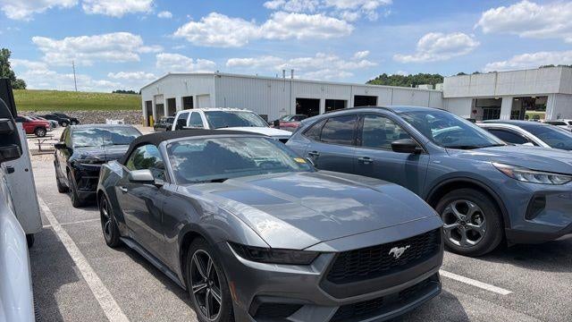 Preowned 2025 Ford Mustang EcoBoost for Sale