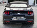 2024 Mustang Thumbnail 4