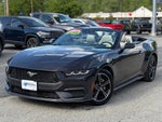 2024 Mustang Thumbnail 5