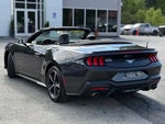 2024 Mustang Thumbnail 7