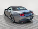 2024 Mustang Thumbnail 4