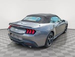 2024 Mustang Thumbnail 5