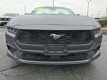 2024 Mustang Thumbnail 2