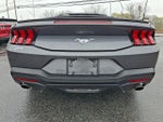 2024 Mustang Thumbnail 5