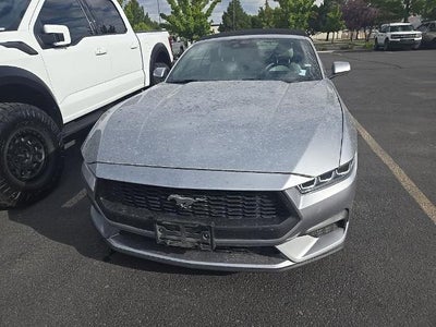 Photo of a 2024 Ford Mustang Ecoboost Premium 2DR Convertible for sale