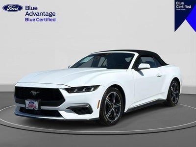 2024 Ford Mustang Ecoboost Premium 2DR Convertible