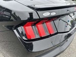 2024 Mustang Thumbnail 4