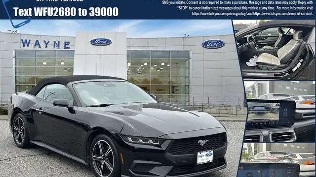 Preowned 2024 Ford Mustang EcoBoost for Sale
